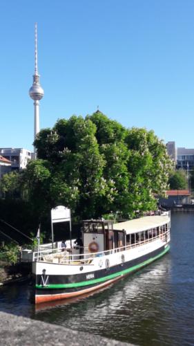 MS Vera am Anleger Historischer Hafen Berlin 